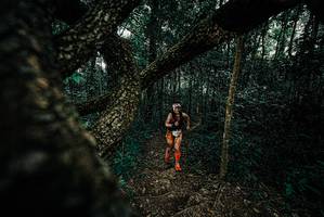 BIB: 
                            <button type="button" onclick="openModal(25683418)" class="btn btn-primary btn-sm float-right btn-popup" data-toggle="modal" data-target=".modal-high-quality">
                        <i class="fas fa-shopping-cart"></i> Add to Cart
                    </button>
                                            <button type="button" onclick="isThisMe(25683418, true)" class="btn btn-success btn-sm float-right btn-popup btn-isme hidden" data-toggle="tooltip" data-placement="bottom" title="นี่คือรูปของคุณใช่ไหม คลิกที่นี่เพื่อเอาเข้าอัลบั้ม">
                        <i class="fas fa-plus"></i> Add to album
                    </button>
                    <button type="button" onclick="isThisMe(25683418, false)" class="btn btn-warning btn-sm float-right btn-popup btn-isnotme hidden">
                        <i class="fas fa-ban"></i> Remove from album
                    </button>